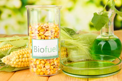 Holmsleigh Green biofuel availability